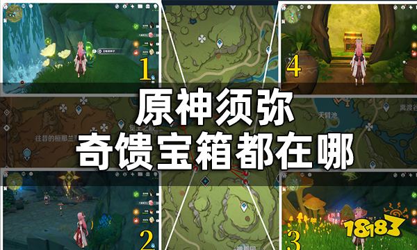 原神须弥奇馈宝箱全收集 须弥奇馈宝箱都在哪