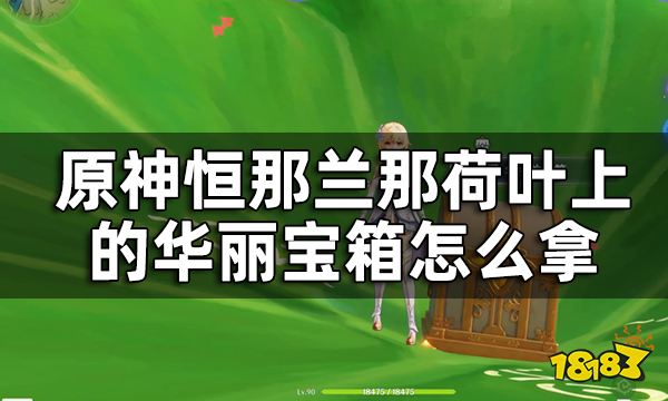 原神恒那兰那2个华丽宝箱获取攻略 恒那兰那荷叶上的华丽宝箱怎么拿