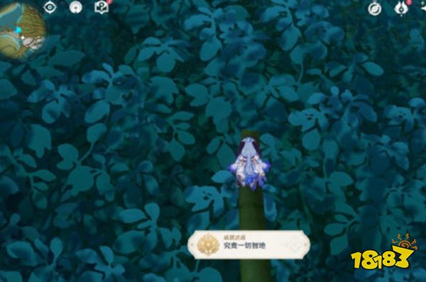 原神须弥探索类隐藏成就汇总 须弥有哪些探索可得的隐藏成就