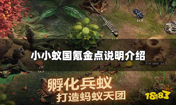 小小蚁国氪金吗 氪金点说明介绍