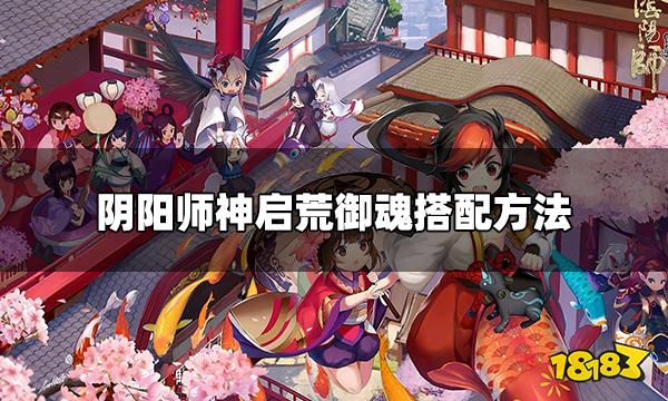 阴阳师sp神启荒御魂怎么搭配 sp神启荒御魂搭配方法