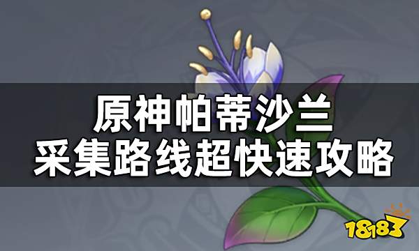 原神帕蒂沙兰位置一览 帕蒂沙兰采集路线超快速攻略