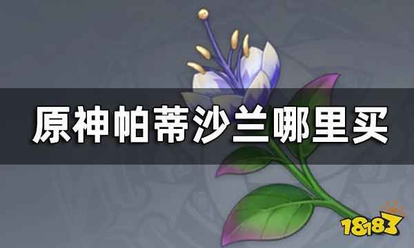 原神帕蒂沙兰购买位置 帕蒂沙兰哪里买