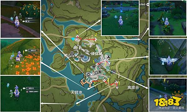 原神帕蒂沙兰购买位置 帕蒂沙兰哪里买