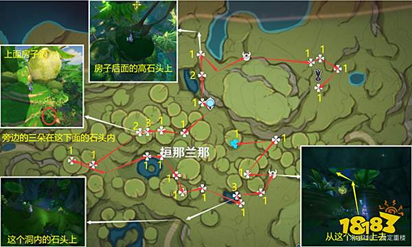 原神帕蒂沙兰购买位置 帕蒂沙兰哪里买