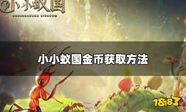 小小蚁国怎么赚金币 金币获取方法