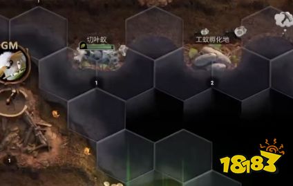 小小蚁国怎么赚金币 金币获取方法