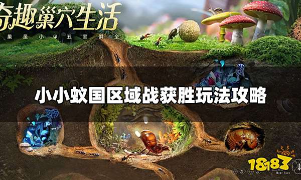 小小蚁国最强区域战怎么玩 区域战获胜玩法攻略