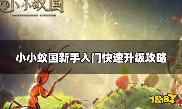 小小蚁国新手入门怎么玩 新手入门快速升级攻略