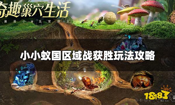 小小蚁国最强区域战怎么玩 区域战获胜玩法攻略
