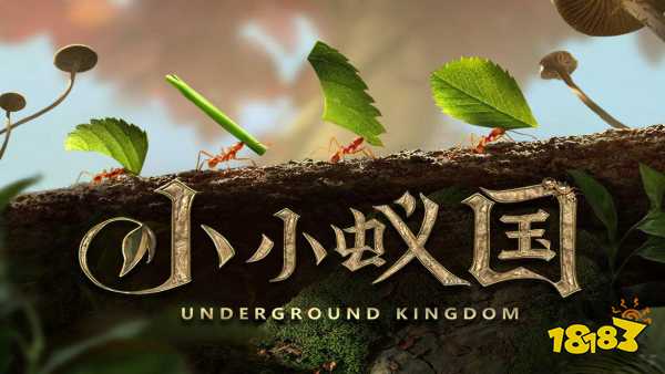 小小蚁国最强区域战怎么玩 区域战获胜玩法攻略