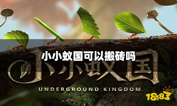 小小蚁国可以搬砖吗