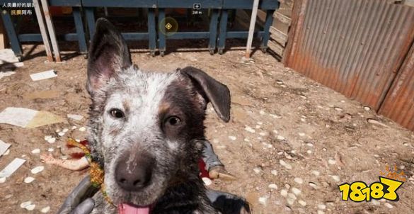 孤岛惊魂5队友狗狗阿布怎么获得 专家队友阿布任务攻略