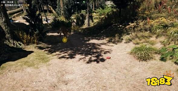 孤岛惊魂5队友豹子阿桃怎么获得 专家队友阿桃任务攻略