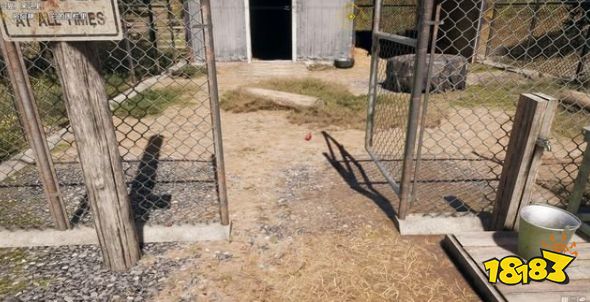 孤岛惊魂5队友豹子阿桃怎么获得 专家队友阿桃任务攻略