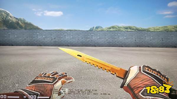 CSGOm9刺刀传说吃磨损吗 m9刺刀传说买什么磨损