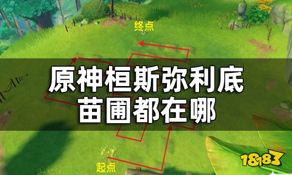 原神桓斯弥利底位置 桓斯弥利底苗圃都在哪