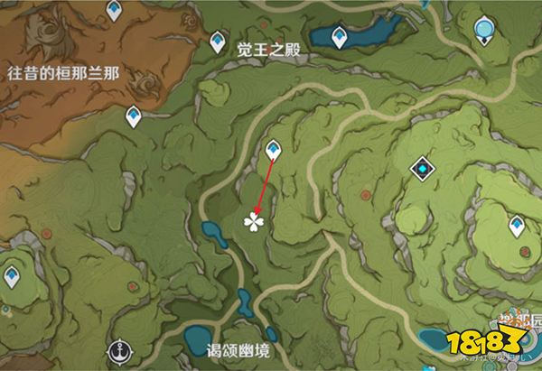 原神桓斯彌利底位置 桓斯彌利底苗圃都在哪