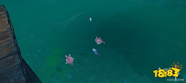 原神竭泽钓鱼点分布一览 竭泽需要什么鱼类