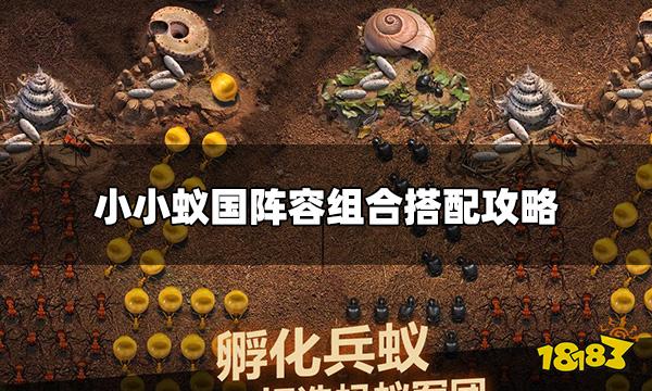 小小蚁国阵容怎么选择 阵容组合搭配攻略