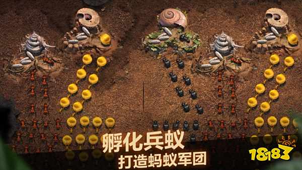 小小蚁国阵容怎么选择 阵容组合搭配攻略