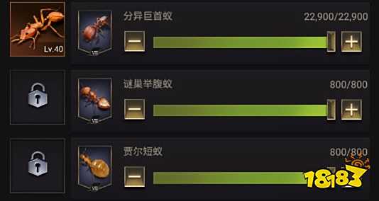 小小蚁国怎么培养合适的兵蚁 培养兵蚁攻略