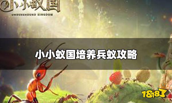 小小蚁国怎么培养合适的兵蚁 培养兵蚁攻略