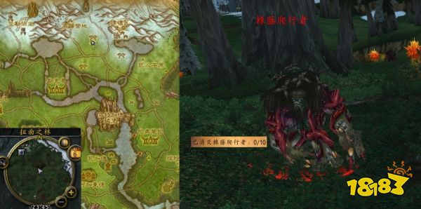魔獸世界扭曲之林怎么做 扭曲之林流程攻略