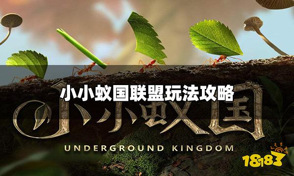 小小蚁国联盟怎么玩 联盟玩法攻略