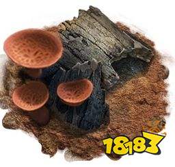 小小蚁国工蚁怎么升级 工蚁升级攻略