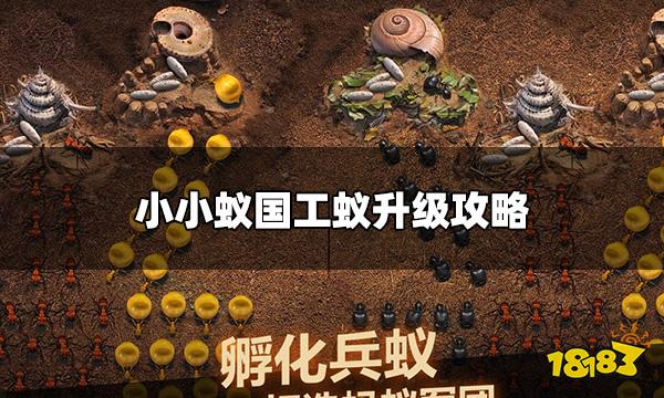 小小蚁国工蚁怎么升级 工蚁升级攻略