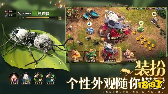 小小蚁国免费版