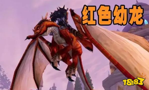 魔兽世界wlk龙眠联军声望奖励是什么 龙眠联军声望奖励一览