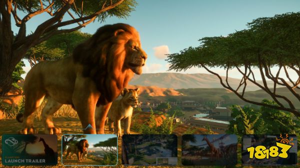 动物园之星在哪买便宜 动物园之星购买平台推荐