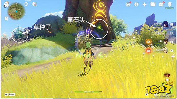 原神须弥16处潜在死域位置一览 未成形死域都在哪