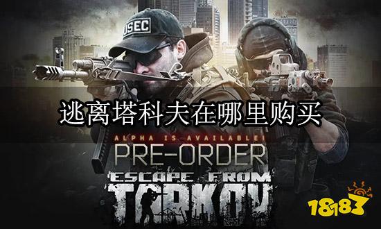 逃离塔科夫在哪里购买 正版游戏激活码购买指南