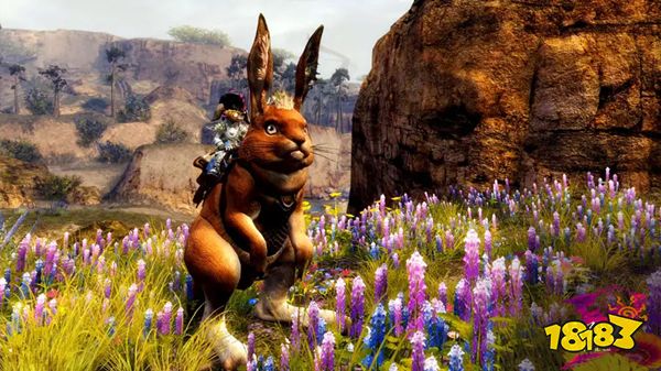 激战2坐骑有哪些 全坐骑获得方法