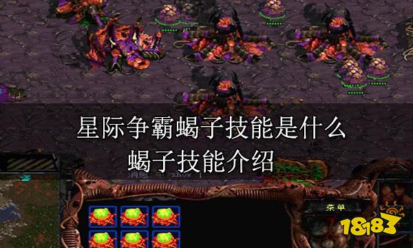 星际争霸蝎子技能是什么 蝎子技能介绍