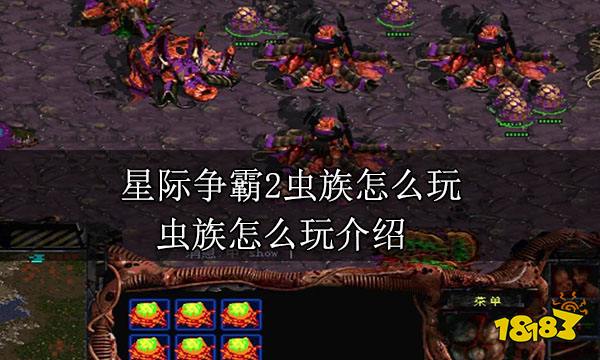星际争霸2虫族怎么玩 虫族怎么玩介绍