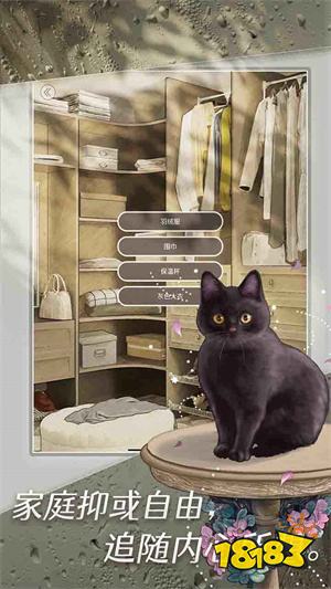 匿名爱人游戏下载中文版