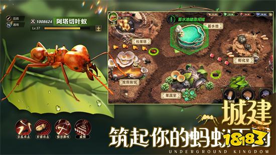 小小蚁国下载安装