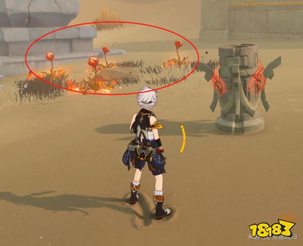 原神秘境千柱的花园介绍一览 千柱的花园如何开启