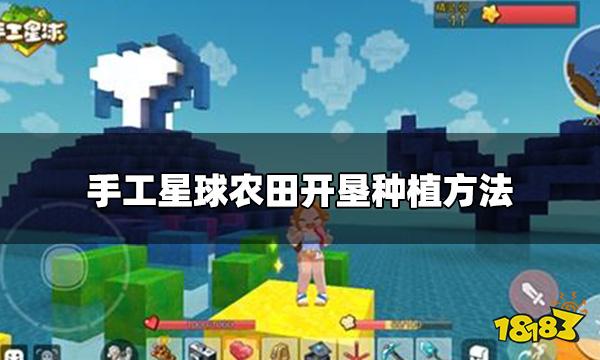 手工星球怎么制作农田 农田开垦种植方法