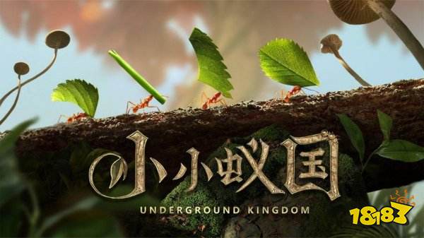 手机安卓游戏下载推荐2022 安卓游戏下载排行榜