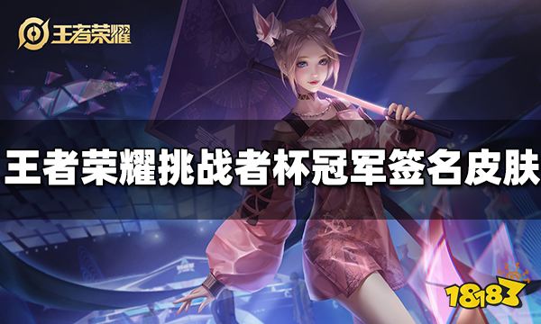 王者荣耀挑战者杯冠军签名皮肤有哪些 签名皮肤介绍