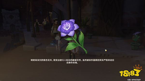原神獻(xiàn)給某人的薔薇系列世界任務(wù)攻略 獻(xiàn)給某人的薔薇要幾天才能完成