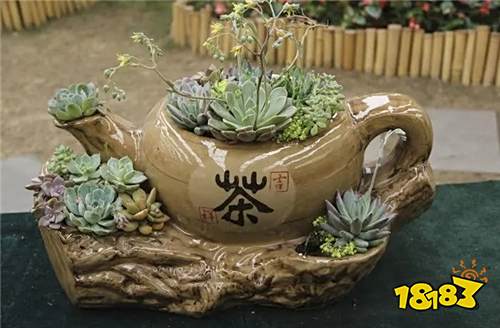 盆景设计手机软件 2022热门盆景设计 