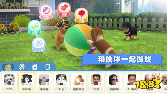 梦幻小狗游戏安卓版