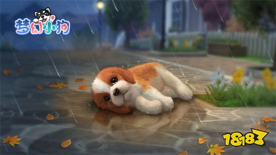 梦幻小狗最新版
