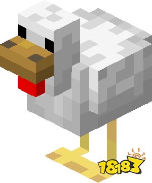 我的世界鸡吃什么 我的世界养鸡技巧介绍